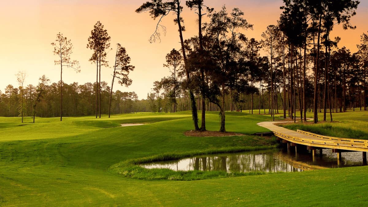 a green golf course with a bridge and water