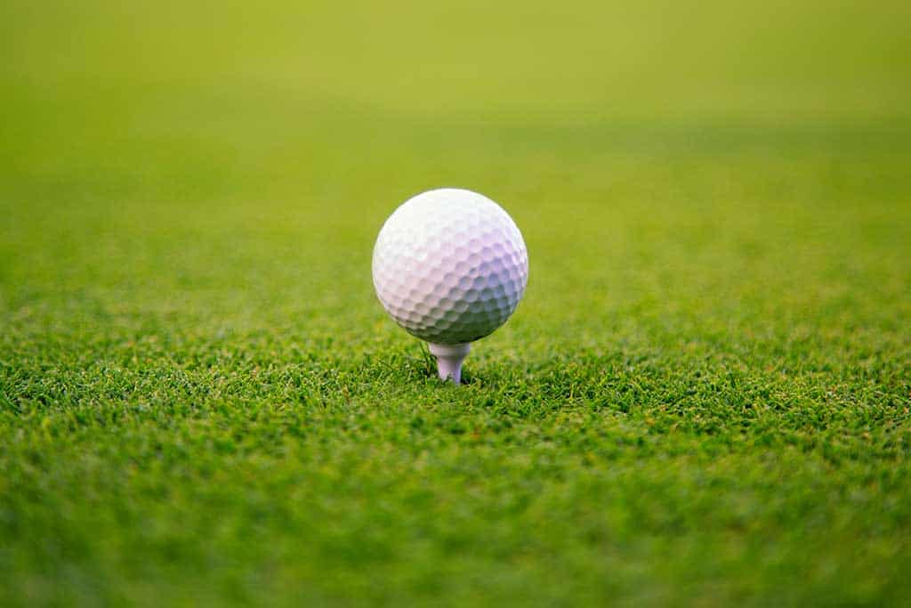 Golf Basics 3 a golf ball on the tee in the grass